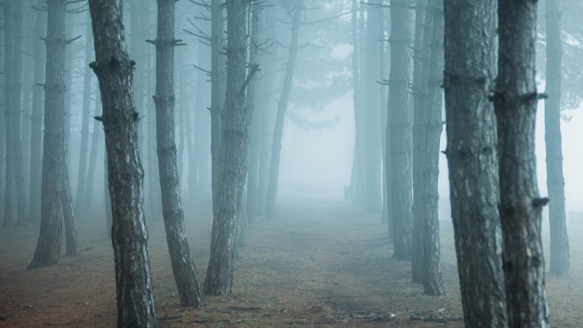 Japon et cinéma d’horreur : exploration du genre J-Horror