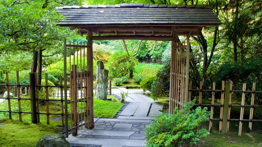 Explorez la beauté intemporelle des jardins japonais